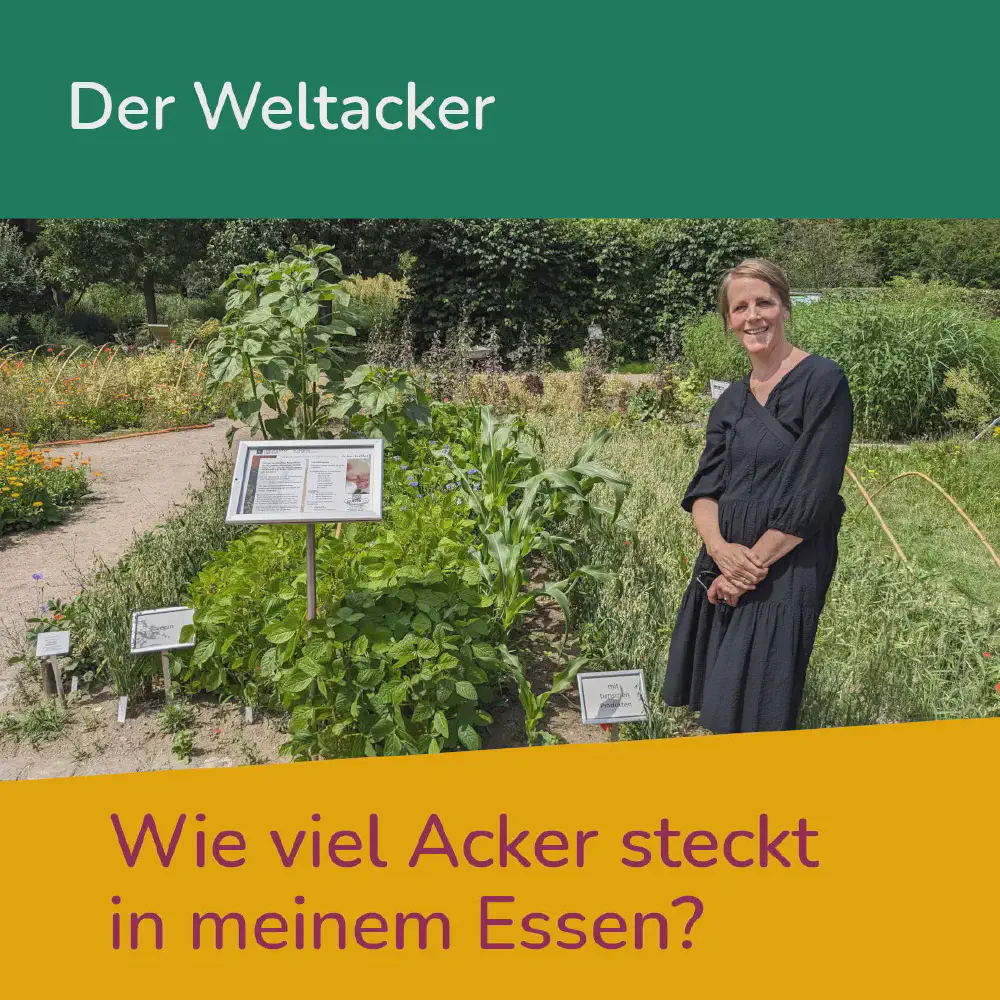 Der Weltacker